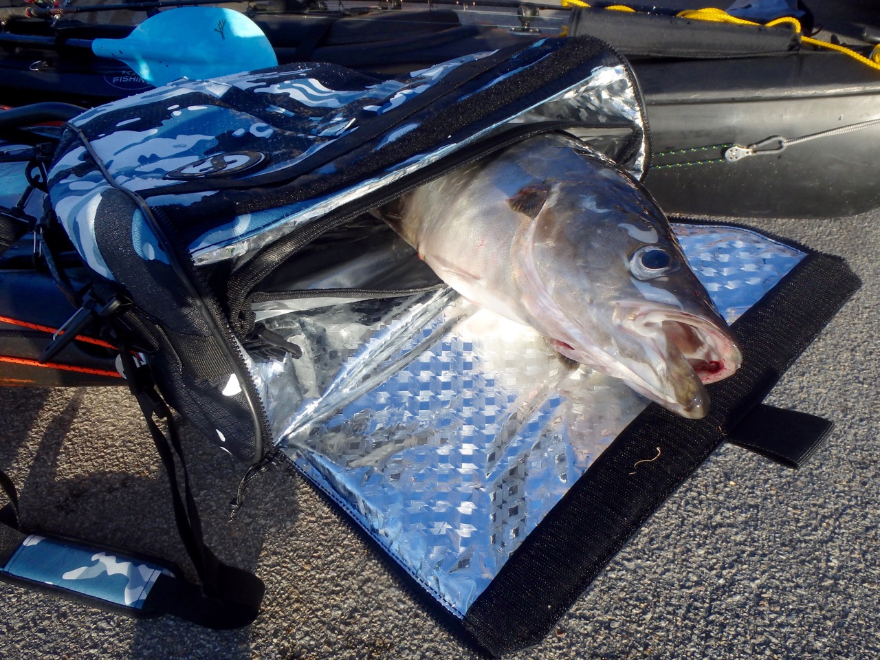 Feelfree Fish Cooler Bag  On-Kayak Storage Options