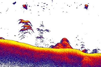 CHIRP Sonar using the Lowrance 50/200 HDI Transducer