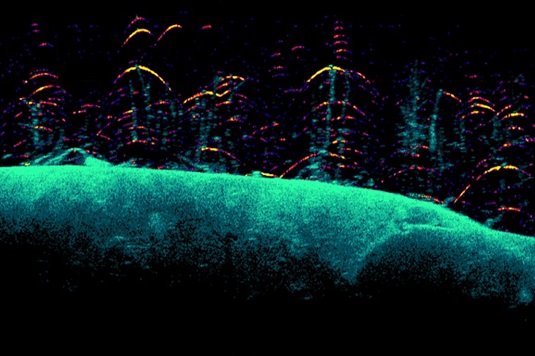 Downscan Imaging using the Lowrance 83/200 HDI Transducer