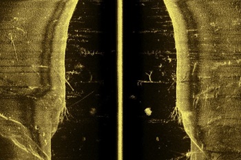 Side Scan Imaging using Lowrance Tripleshot HD Transducer